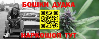 a pvp Камышлов