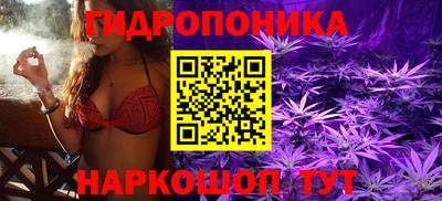 гашишное масло Кандалакша