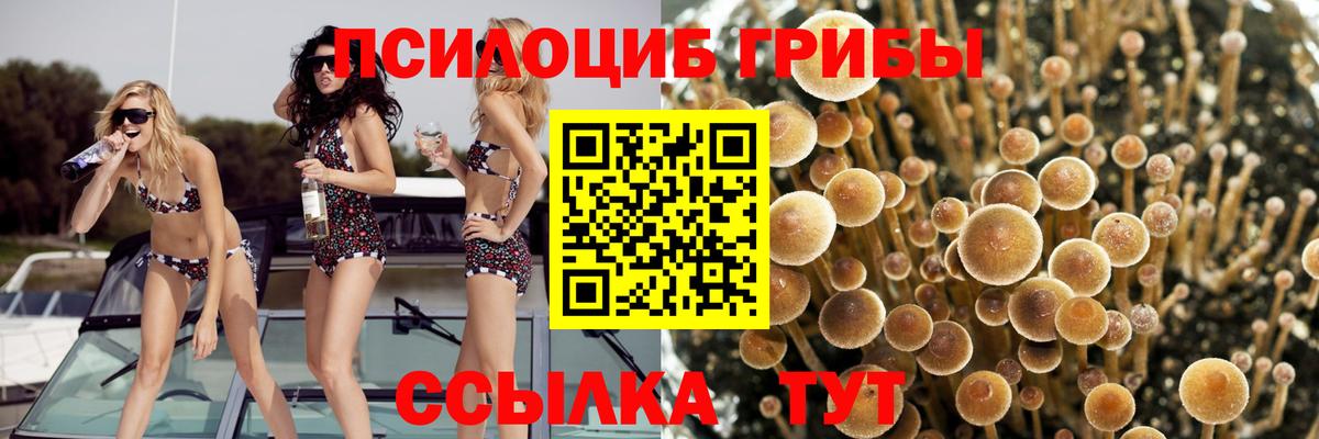 сколько стоит  Вход с VPN  Лабытнанги  Галлюциногенные грибы ЛСД 